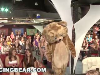 DANCING BEAR - Wild Party Girls Suck off Big peter Male Strippers!